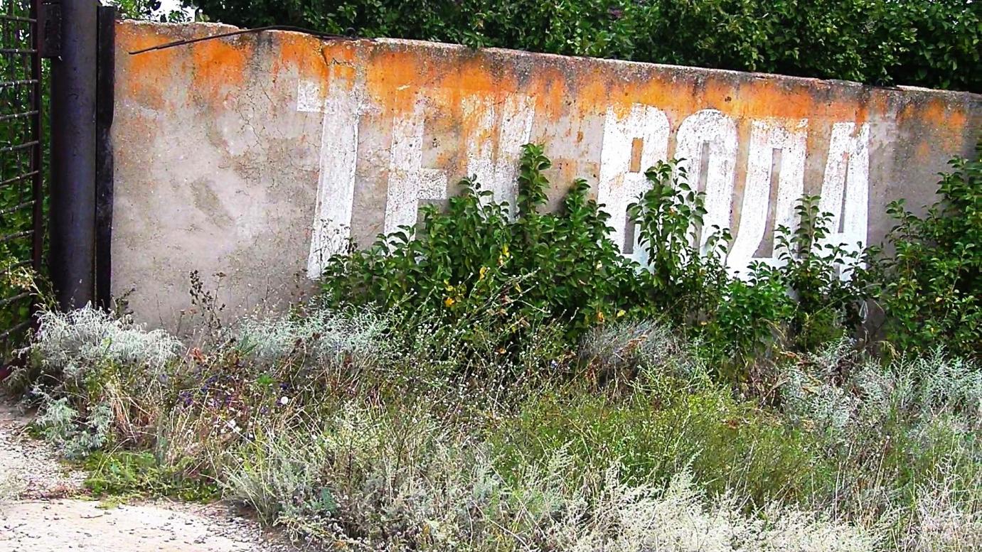 Вищетарасівка літо 2021 р. - Вищетарасівка