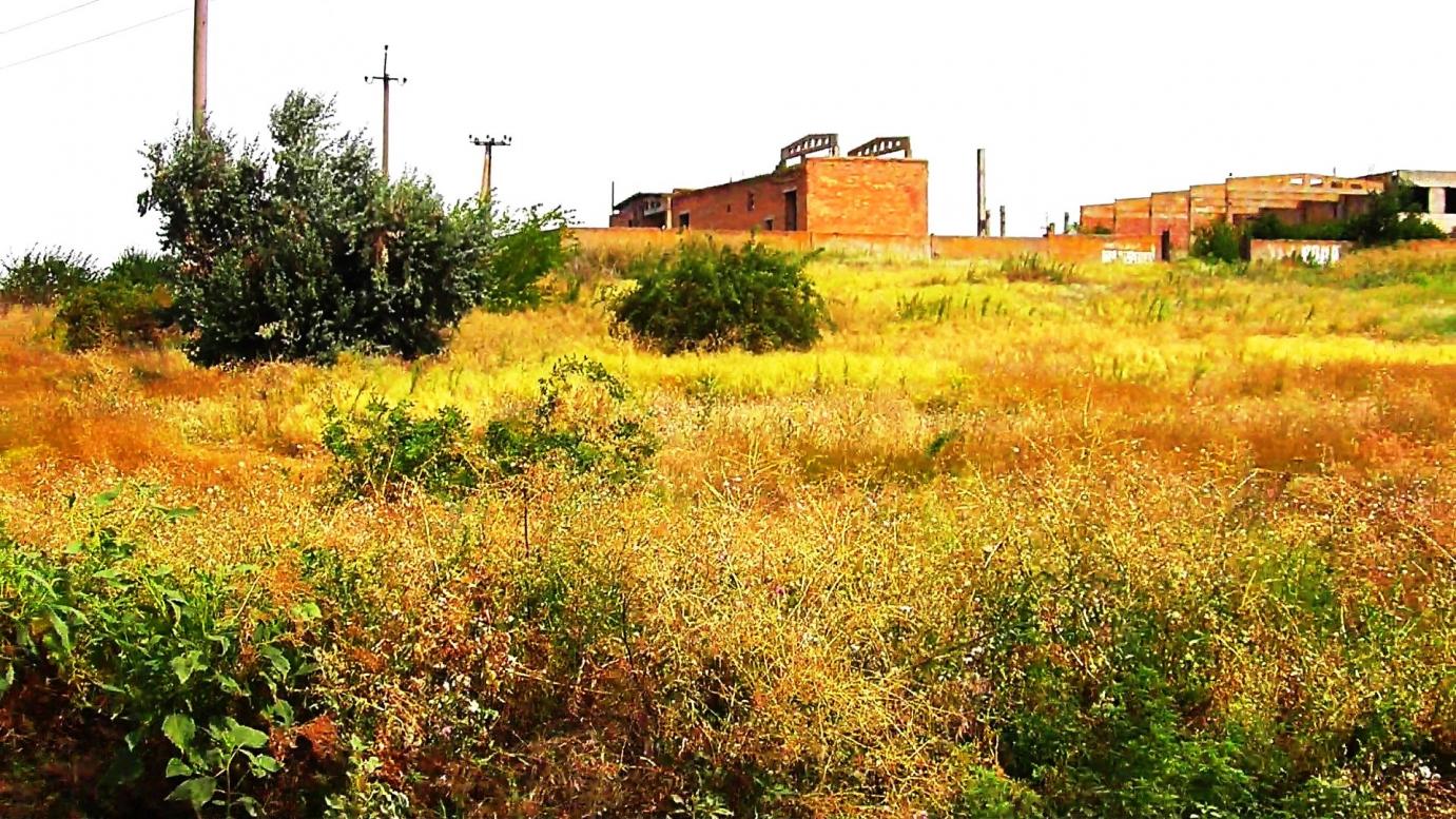 Вищетарасівка літо 2021 р. - Вищетарасівка