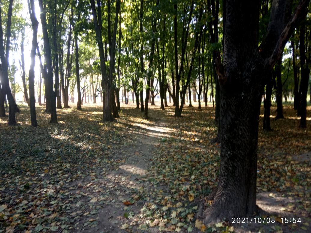 парки - Stryi