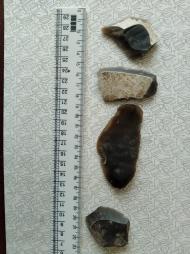 Буковина. Археологія