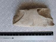 Буковина. Археологія