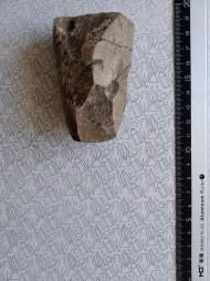 Буковина. Археологія