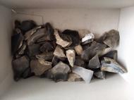 Буковина. Археологія