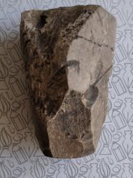 Буковина. Археологія