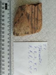 Буковина. Археологія