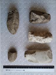 Буковина. Археологія