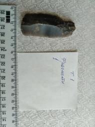 Буковина. Археологія