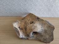 Буковина. Археологія