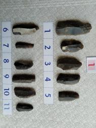 Буковина. Археологія