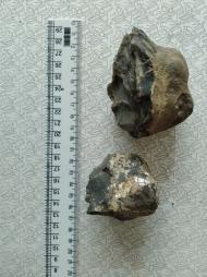 Буковина. Археологія