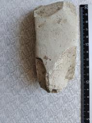 Буковина. Археологія