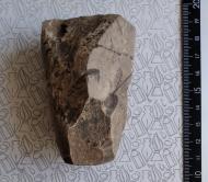 Буковина. Археологія