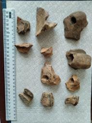 Буковина. Археологія