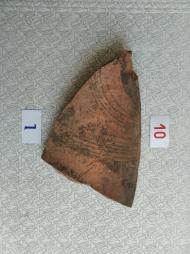 Буковина. Археологія