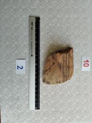 Буковина. Археологія