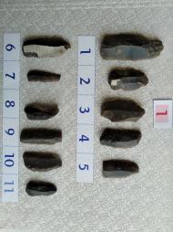 Буковина. Археологія