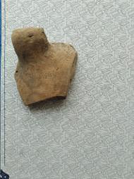 Буковина. Археологія