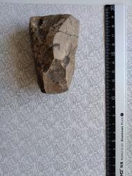 Буковина. Археологія