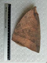 Буковина. Археологія