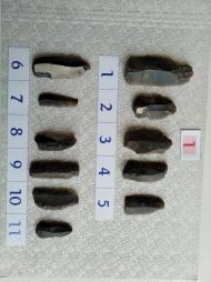 Буковина. Археологія