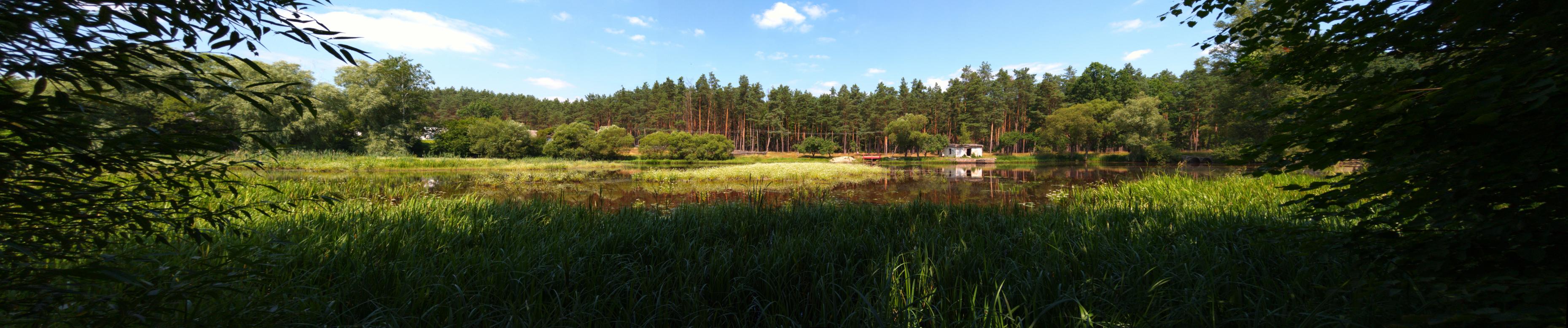 Наші фото - Полянка