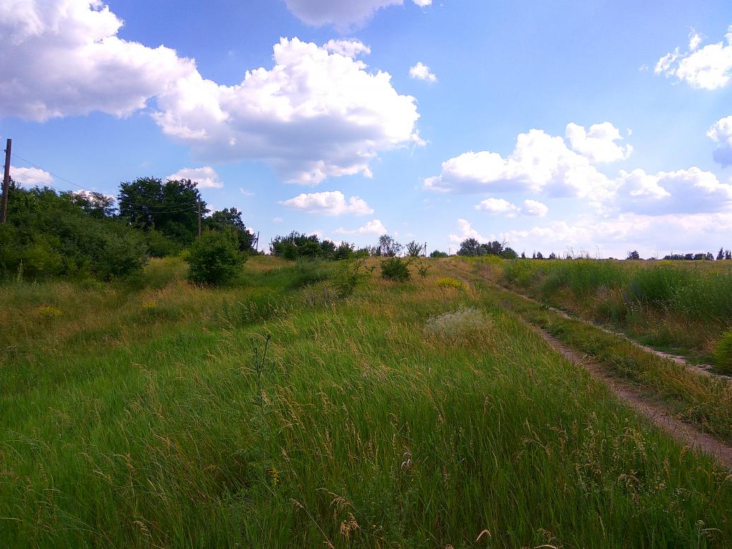 Наши фото - Рубці