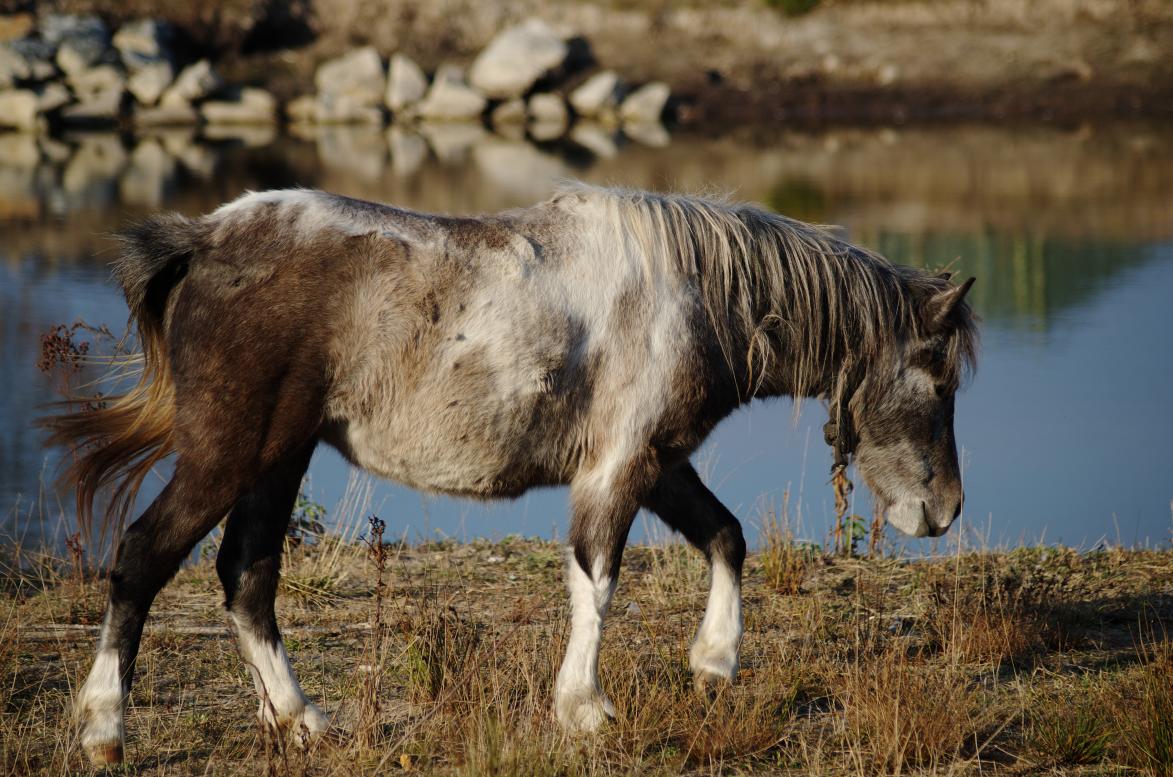 Наші фото - Будисько