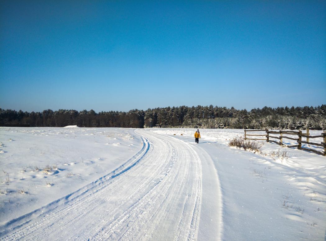 Наші фото - Полянка