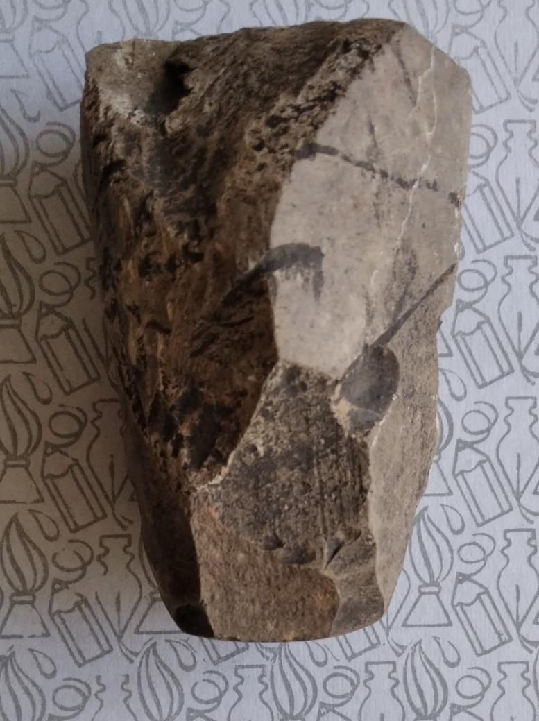 Буковина. Археологія - Реваківці