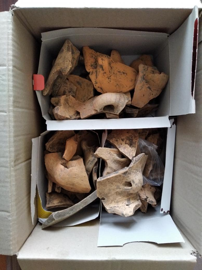 Буковина. Археологія - Реваковцы