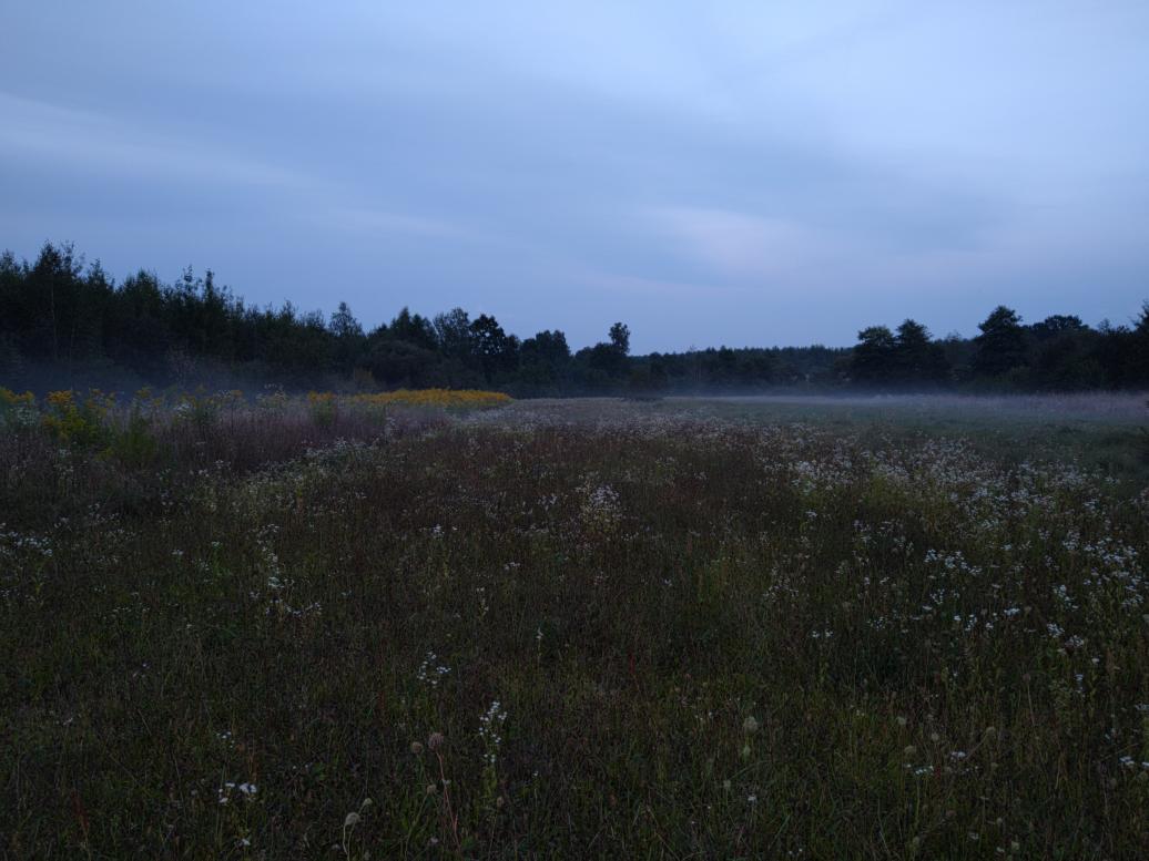 Наші фото - Полянка