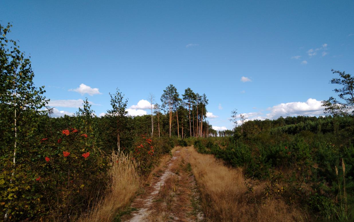 Наші фото - Полянка