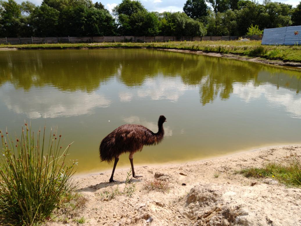 Наші фото - Будисько