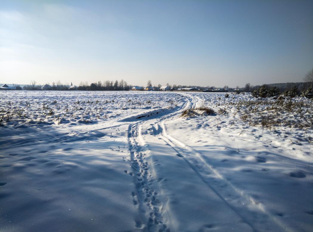 Наші фото - Полянка