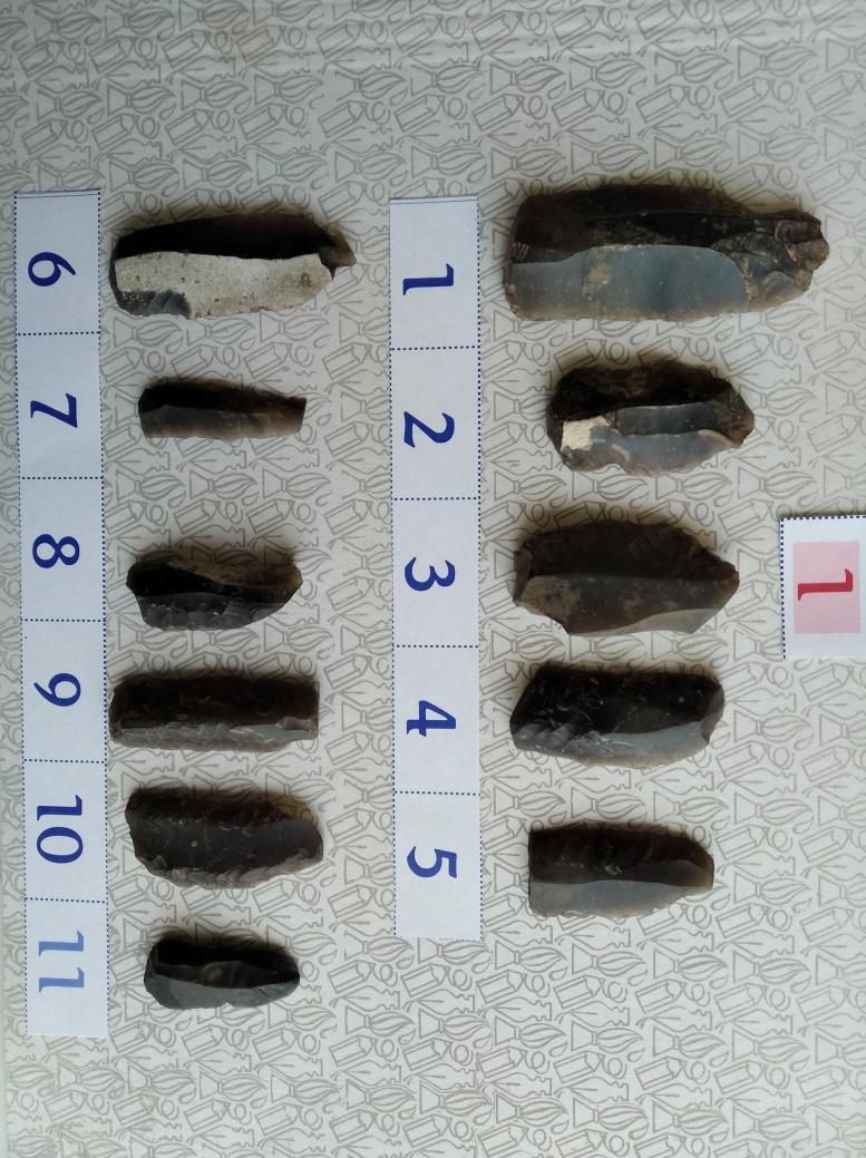 Буковина. Археологія - Реваківці