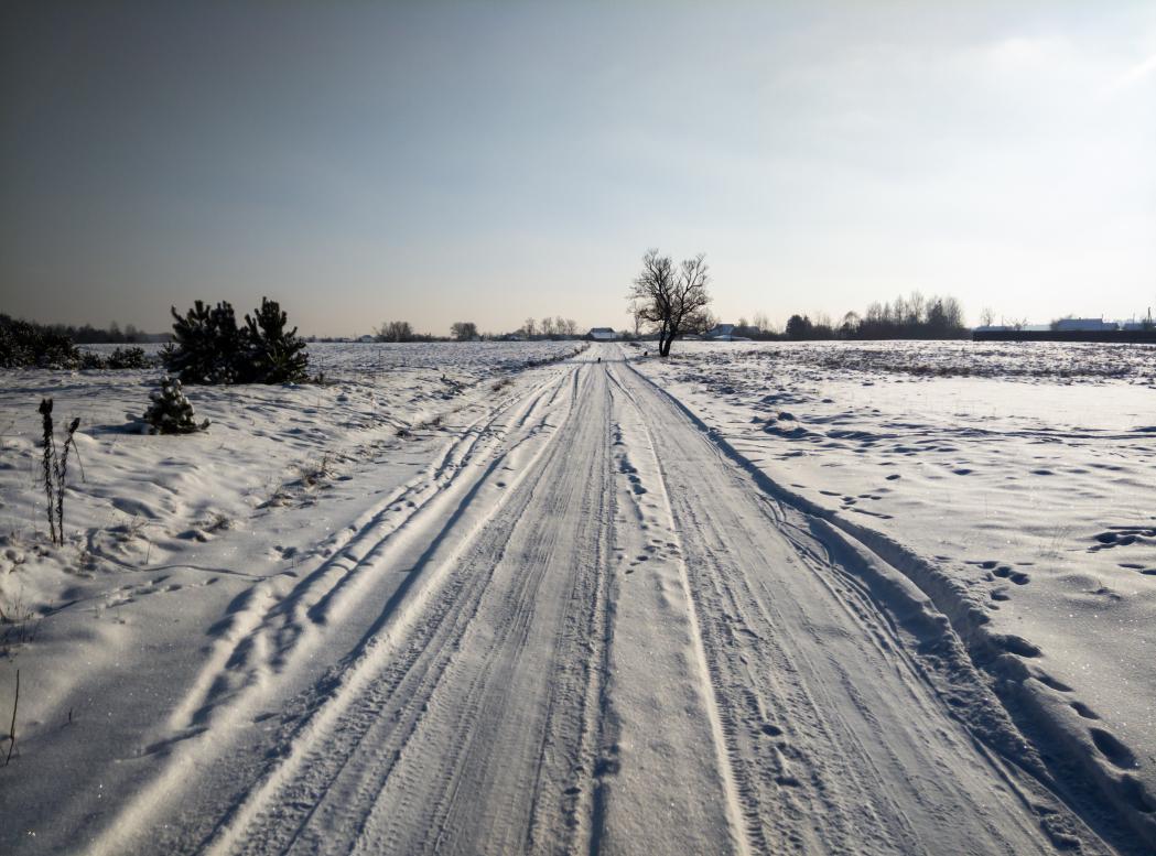 Наші фото - Полянка