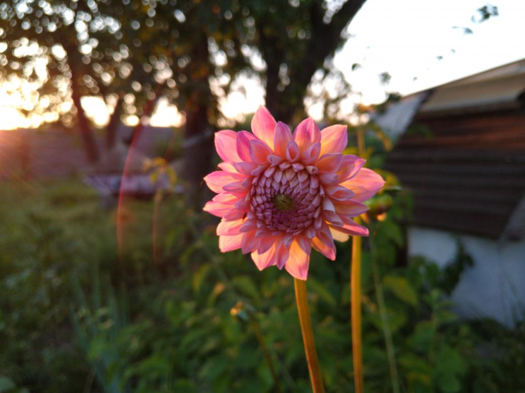 Наші фото - Budysko