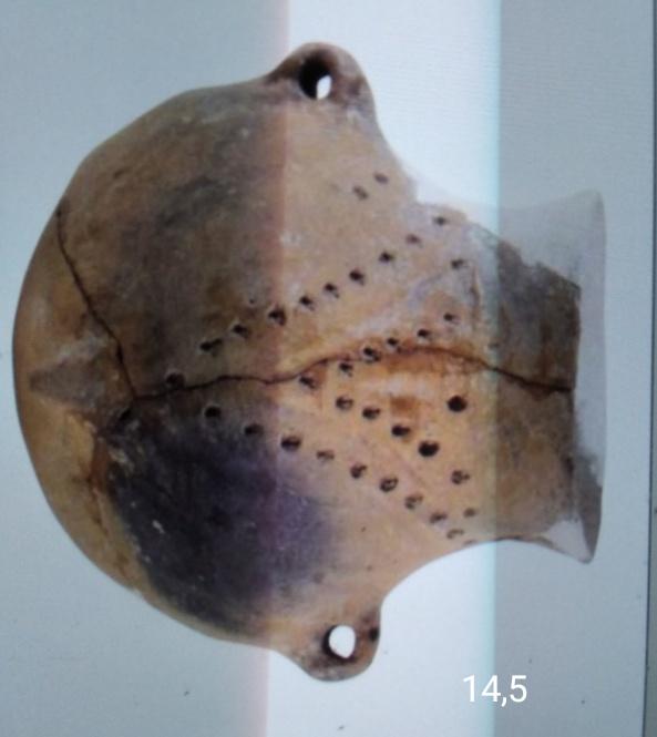  Польові дослідження - Берегомет