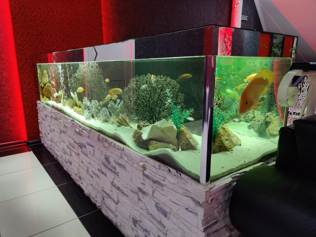 Новорічний настрій - Козелець