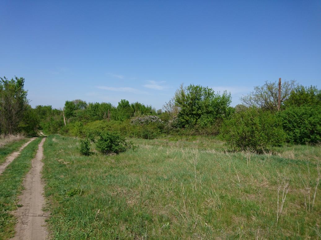 Наши фото - Рубці