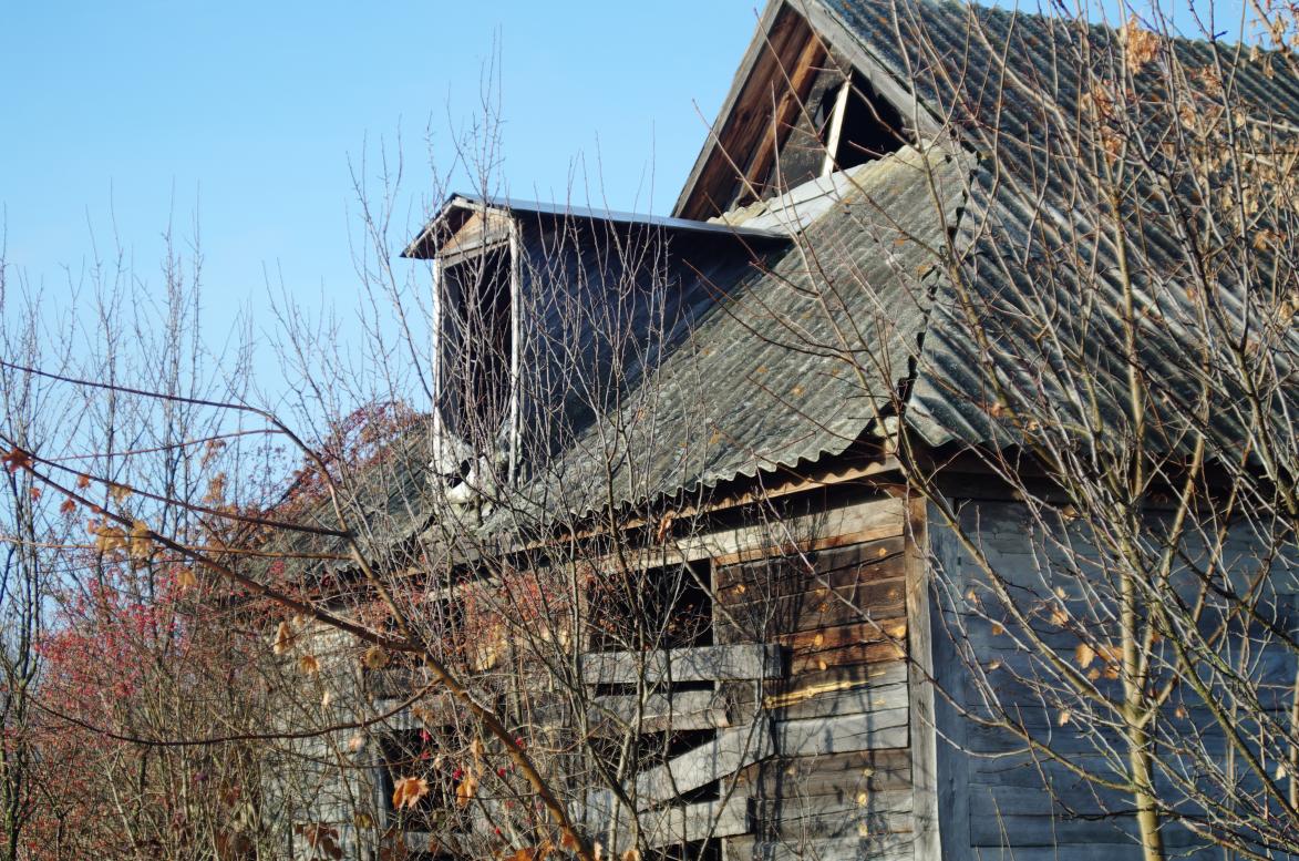 Наші фото - Полянка