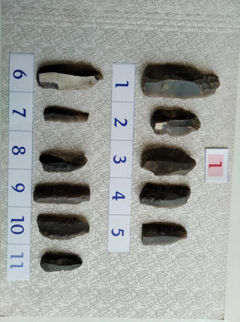 Буковина. Археологія - Реваковцы