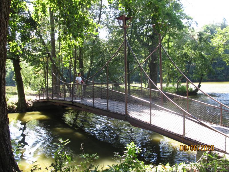 Синиця - Синиця