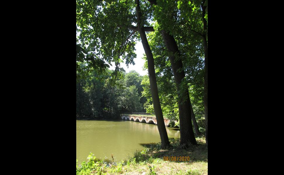 Синиця - Синиця