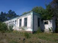 Це Лютенька