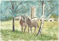 Карвинівка - Останні фото