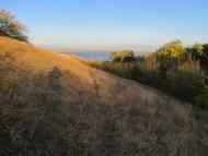 АРХЕОЛОГИ В СЕЛІ