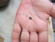 АРХЕОЛОГИ В СЕЛІ