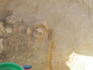 АРХЕОЛОГИ В СЕЛІ