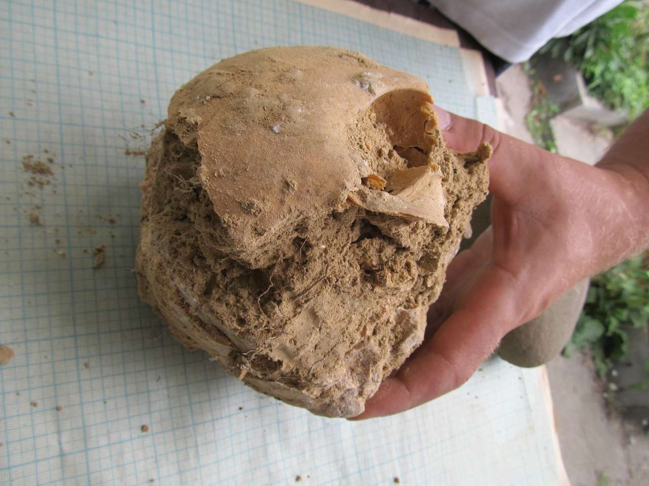 АРХЕОЛОГИ В СЕЛІ - Золота Балка